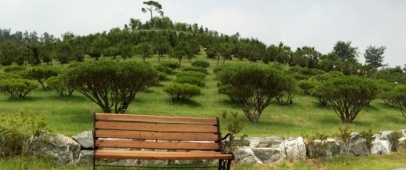 서안성수목장