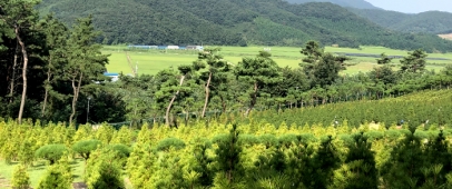 김포수목장